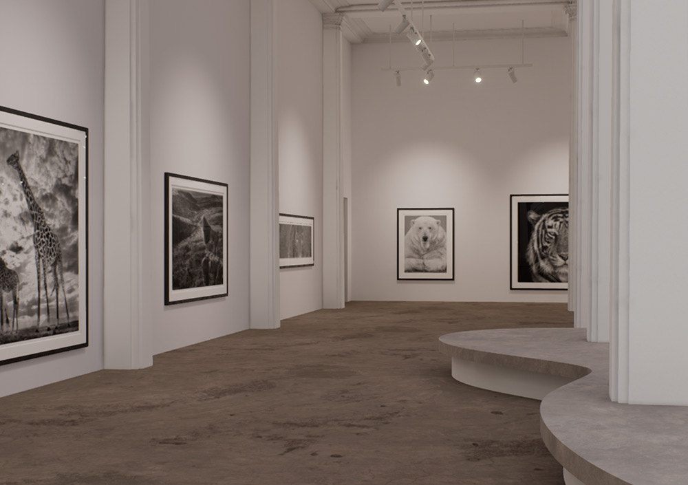 Maddox Gallery