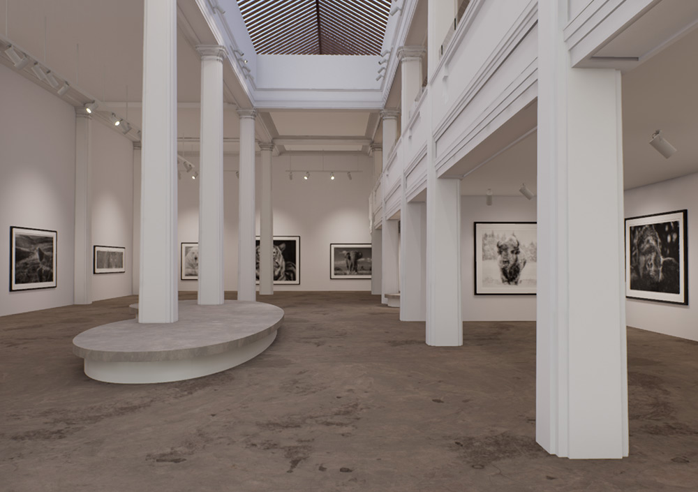 Maddox Gallery