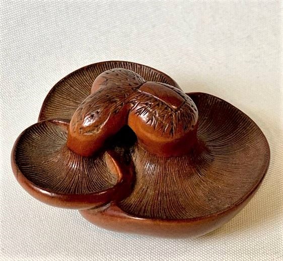 Shitake Group Netsuke Tadatoshi Wood 6 (2).JPG