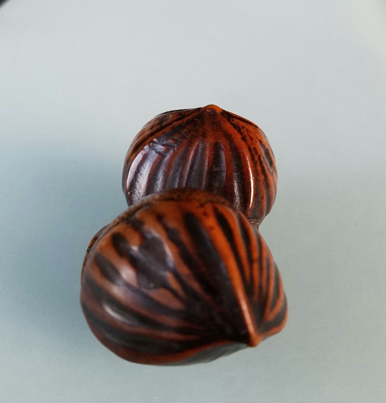 chestnuts 20190116_081350.jpg