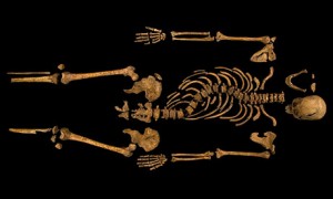 Richard III Skeleton 300x180 The Skeleton is Richard III!